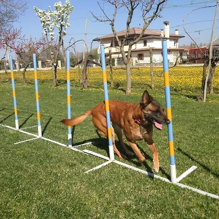 דירה Marsari House