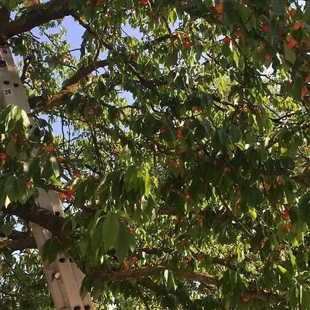 Marsari House SantʼAngelo