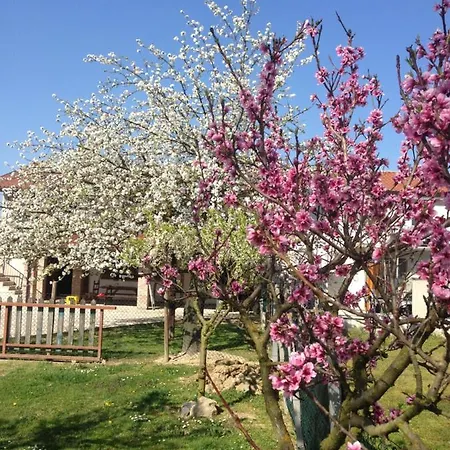 Appartement Marsari House
